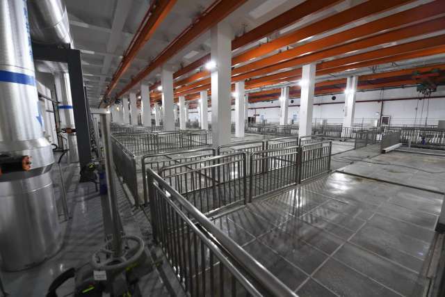 綠茵之下，匠心筑夢 一座公園的園林實業密碼